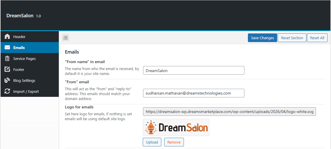 Theme Options Email settings screen